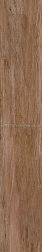 Fakhar Essence Brown Коричневый Матовый Керамогранит 20х120 см