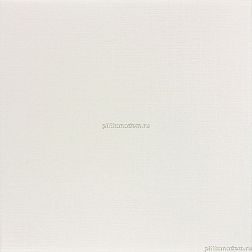 Rako Tess DAA4H050 Ivory Белый Матовый Кеамоганит 45x45 см