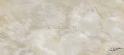 Roberto Cavalli Brightpearl Ivory Firma Rett Декор 80х180 см