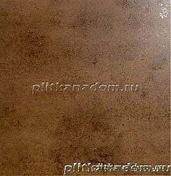 Ceracasa Evolution Oixdo Керамогранит 49,1x49,1 см