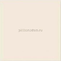 Vives Monocolor Nacar Напольная плитка 20x20 см